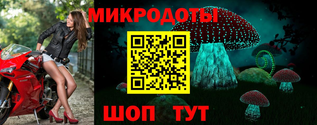 Галлюциногенные грибы Psilocybine cubensis Советск