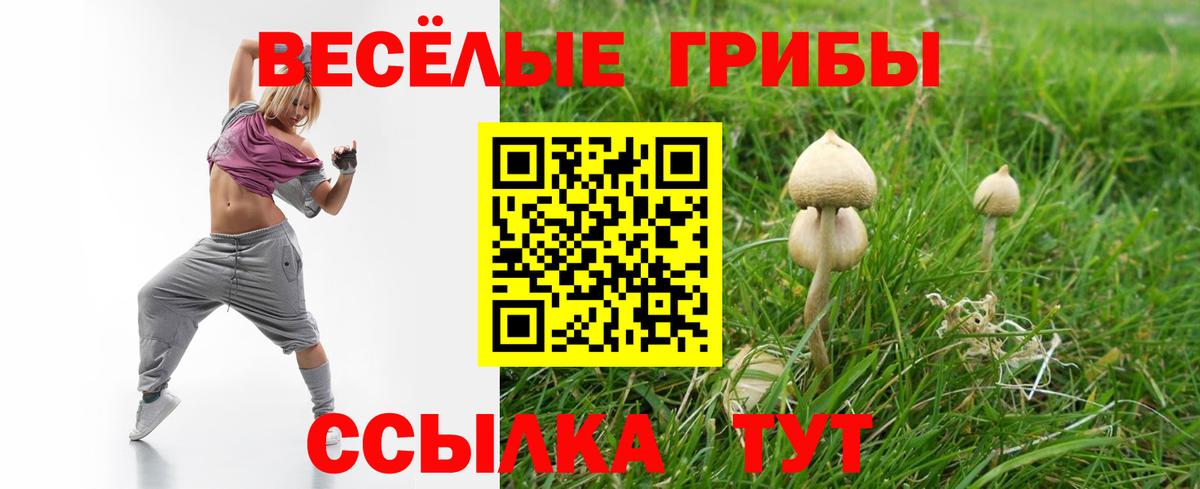 Советск  Галлюциногенные грибы мухоморы  Вход с VPN 
